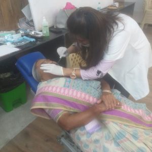 orchid park society orchid park society