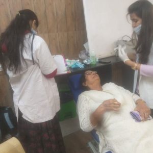 orchid park society orchid park society