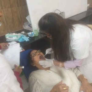 orchid park society orchid park society