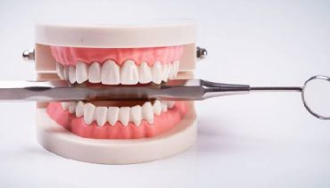 Why do humans have 2 sets of dentitions?