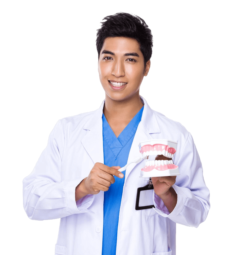 dentist show with denture toothbrush1 1